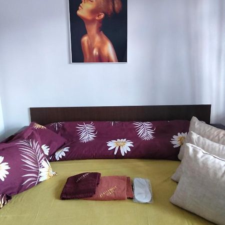 Apartament Geo Nehoiu Zewnętrze zdjęcie