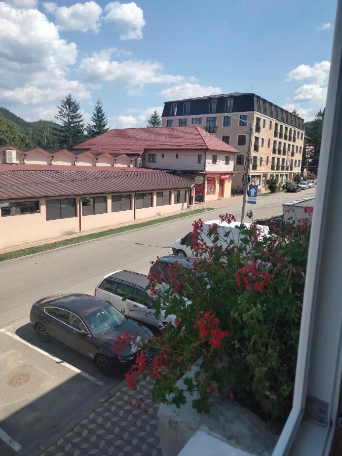 Apartament Geo Nehoiu Zewnętrze zdjęcie