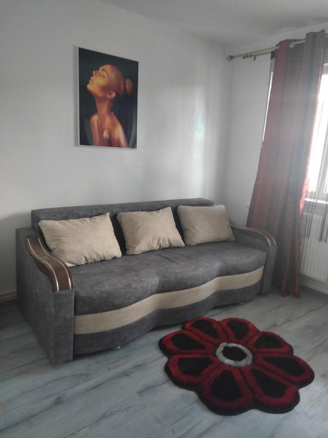 Apartament Geo Nehoiu Zewnętrze zdjęcie