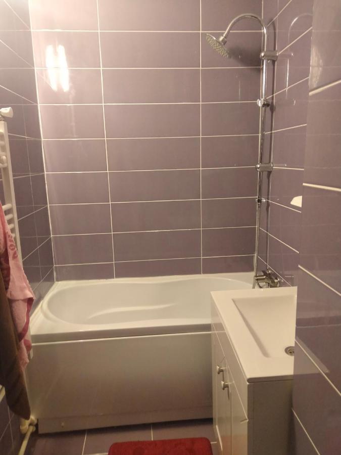 Apartament Geo Nehoiu Zewnętrze zdjęcie