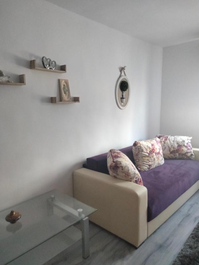 Apartament Geo Nehoiu Zewnętrze zdjęcie