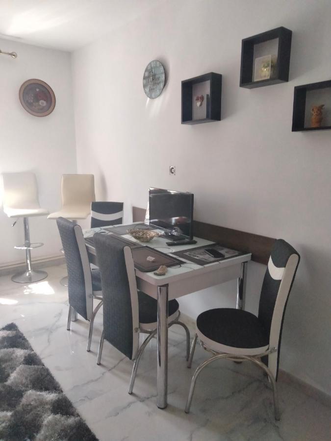 Apartament Geo Nehoiu Zewnętrze zdjęcie