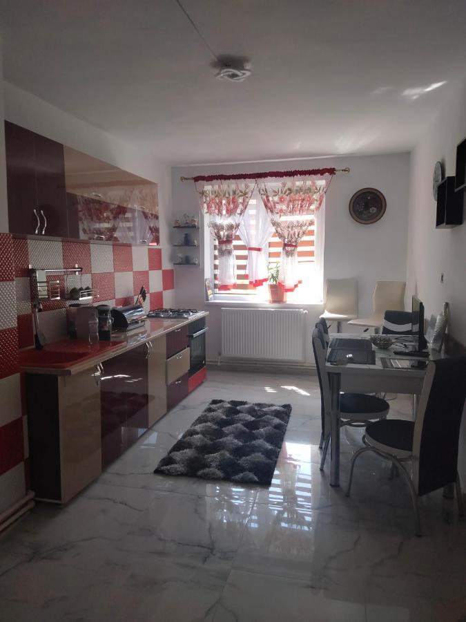 Apartament Geo Nehoiu Zewnętrze zdjęcie