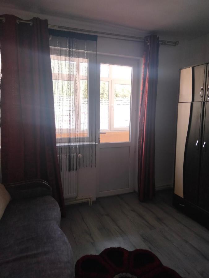Apartament Geo Nehoiu Zewnętrze zdjęcie