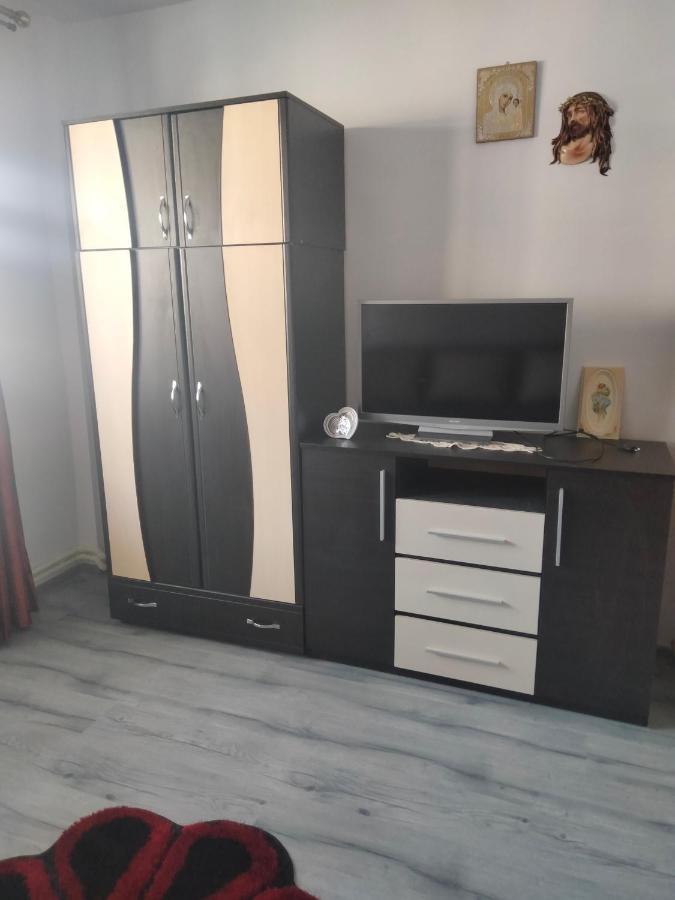 Apartament Geo Nehoiu Zewnętrze zdjęcie