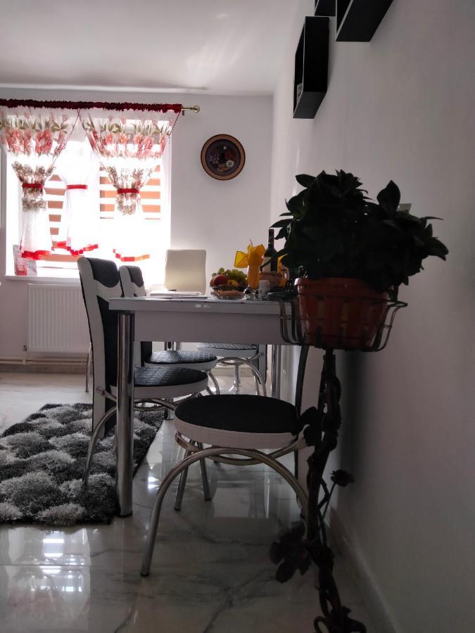 Apartament Geo Nehoiu Zewnętrze zdjęcie