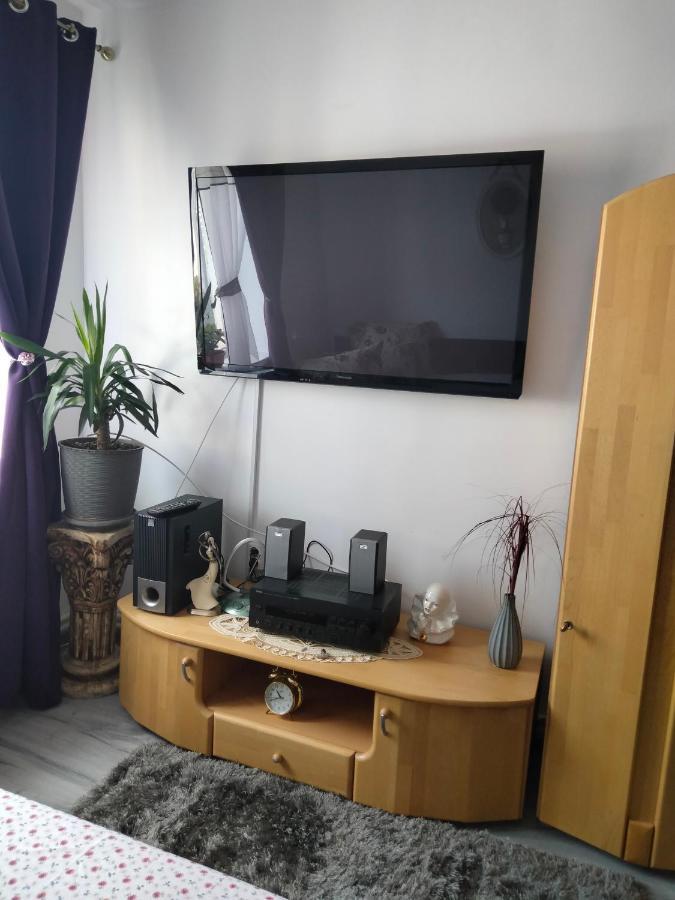 Apartament Geo Nehoiu Zewnętrze zdjęcie