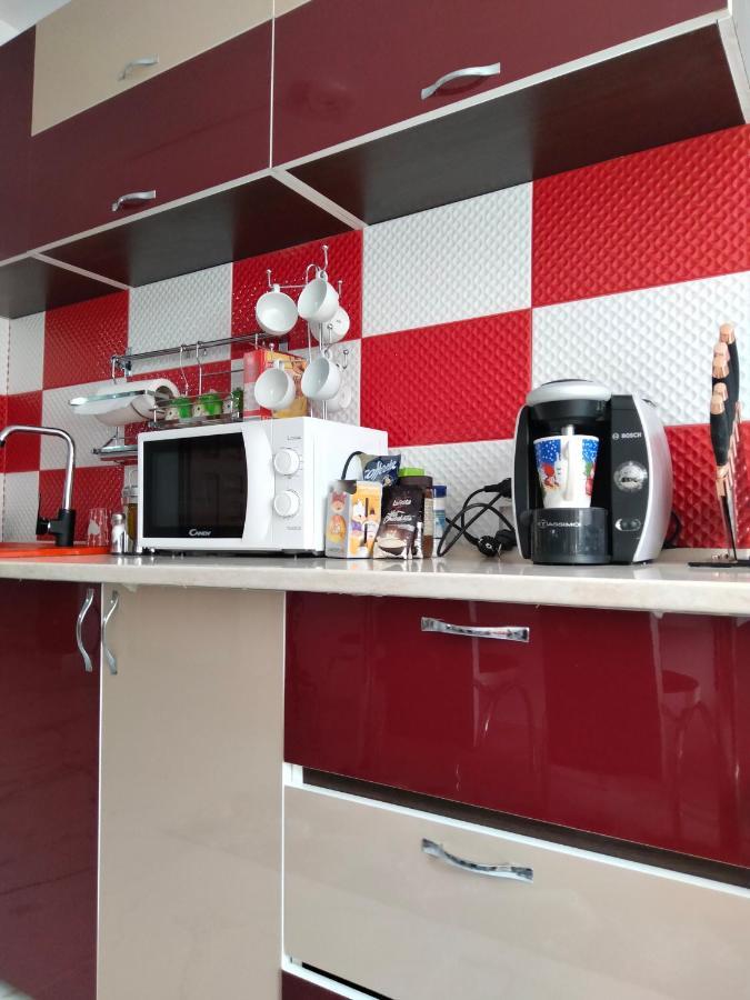 Apartament Geo Nehoiu Zewnętrze zdjęcie