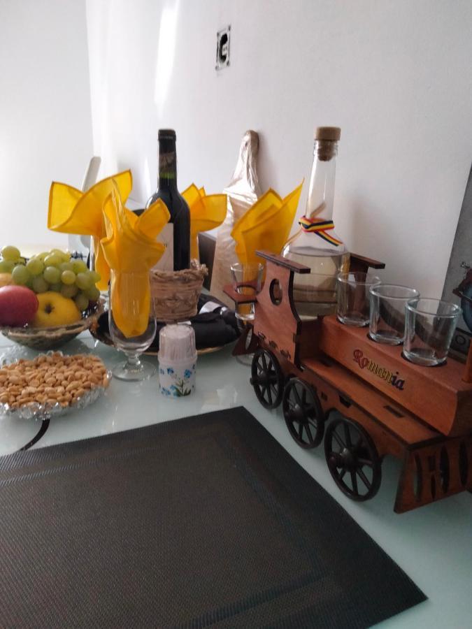 Apartament Geo Nehoiu Zewnętrze zdjęcie