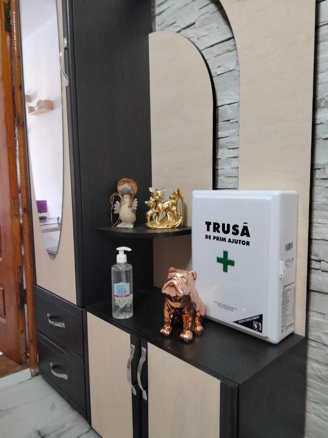 Apartament Geo Nehoiu Zewnętrze zdjęcie