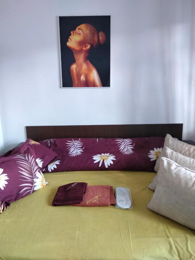 Apartament Geo Nehoiu Zewnętrze zdjęcie